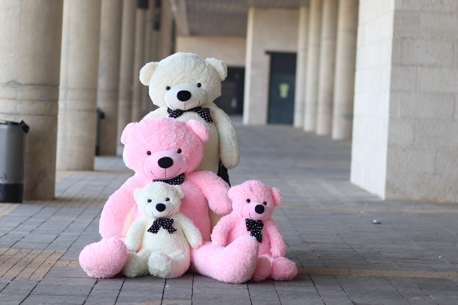 דובי ענק בגודל מטר בצבע ורוד – תמונה 3